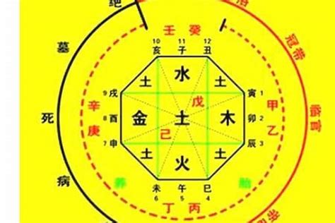 喜用神 木|八字喜用神是木：补运、注意事项、生活建议